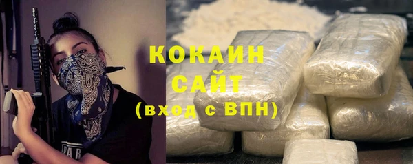 прущие грибы Верхний Тагил