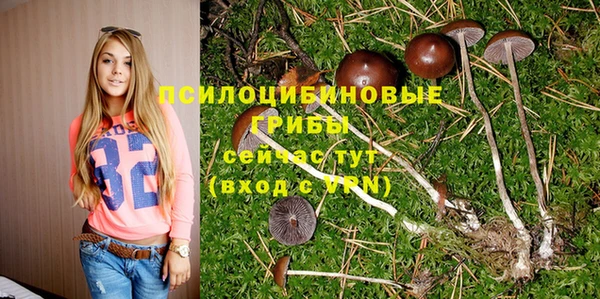СК Вязники