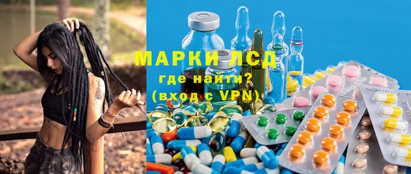 прущие грибы Верхний Тагил