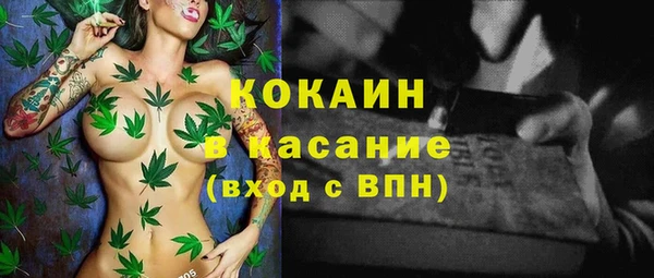хмурый Верея