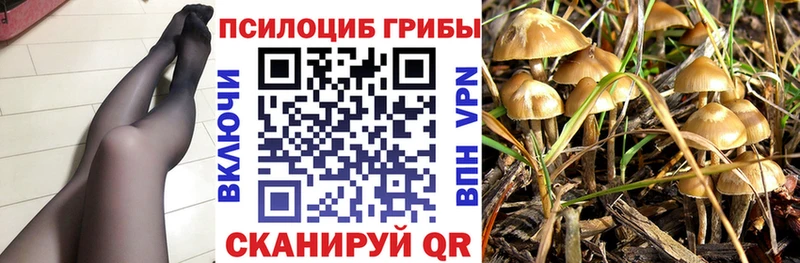 Галлюциногенные грибы Psilocybine cubensis  наркота  Зеленоградск 